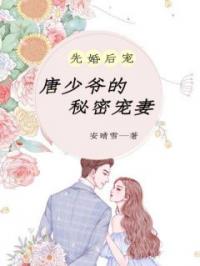 先婚后宠：唐少爷的秘密宠妻