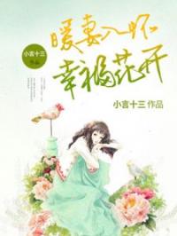 暖妻入怀幸福花开