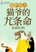 保护我方猫爷的九条命