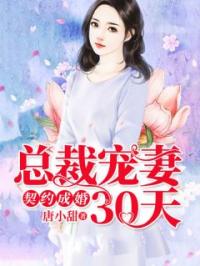 总裁宠妻30天