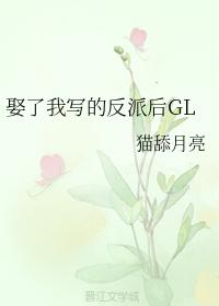 娶了我写的反派后GL