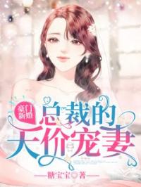 豪门新婚：总裁的天价宠妻