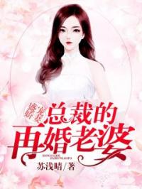 盛宠娇妻：总裁的再婚老婆