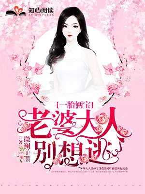 一胎俩宝，老婆大人别想逃沈蔓歌