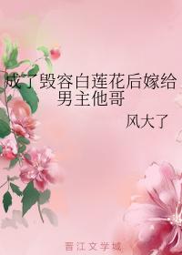 成了毁容白莲花后嫁给男主他哥